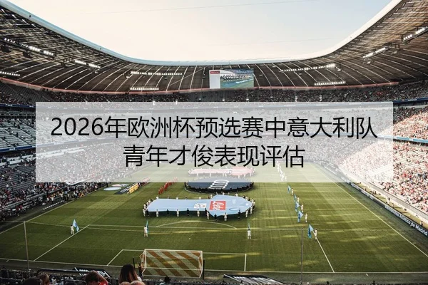 2026年欧洲杯预选赛中意大利队青年才俊表现评估
